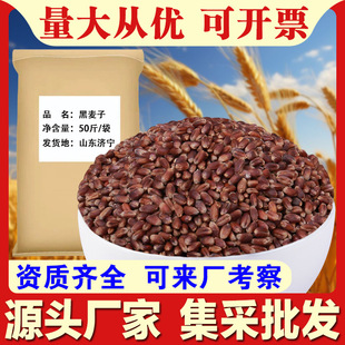 ������50��/����С�����S�����l�s�Z��ĥ��lѿ��֭�F؛��������c