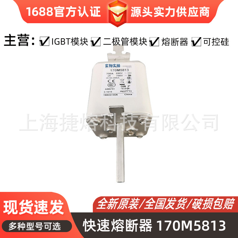 170M5813  170M5959 快速熔断器  保险丝 电子元器件 量大价优