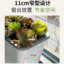 �̨�N�����߲˷Nֲ�䳬խ����߅�L���β�ݮ���ۑ��˻���E18