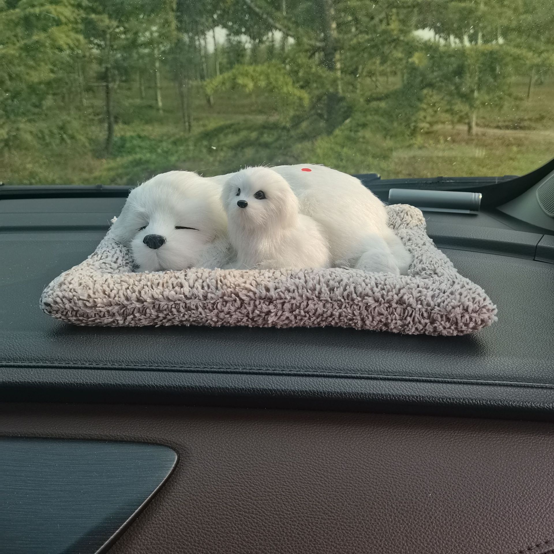 微信图片_20221002084128