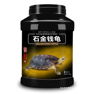 Southern Turtle Food Stone Turtle Feed Money Turtle Stone Money Turtle Musk Yellow Throat Stone Turtle Turtle Feed Free Shipping