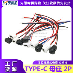 Type-C母座2P/4P注入直圧式白黒帯PH2.0端子溶接線楕円帯線充電インターフェース
