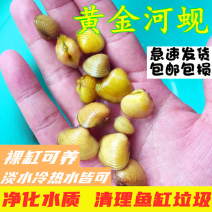 �S���͘С�Ӱ�Ϫ͘���w��ˮ��ˮԭ������ȥ�Gˮ�^�p�Ӱ��坍�~��
