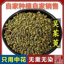 包邮特级中花吴茱萸新货无添加中药原生态涌泉穴当季无硫纯天然