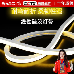 24v低压硅胶柔性灯带led客厅家用嵌入式室内吊顶户外防水线形灯条