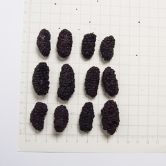 Fruit Juice Dried Mulberry Dried Fruit Dried Mulberry Berries Wholesaler Bulk Freeze-Dried Fruit Freeze-Dried Mulberry Noodles Snack Cake Baking Ingredient Milk Tea