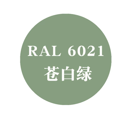 Raul Blue-Green — Avtomobil boyası - ral-6021-pale-green450ml