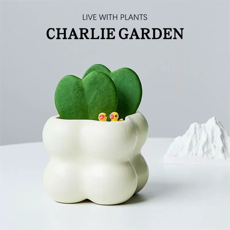 От души, кусочек сердца, настольный подарок для выражения любви, растение в подарок ко Дню святого Валентина, теневыносливое, радиационно-стойкое и простое в обслуживании.