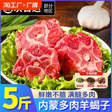 新鲜多肉羊蝎子4斤内蒙带肉羊骨头火锅非即食羊排脊骨商用冷冻