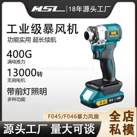 电动吹风机;提灯;手电筒