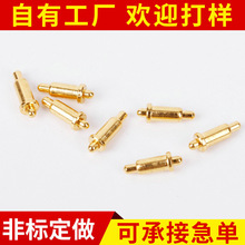 ���S�����p�^�ӵ�POGO PIN�� BG2.0-5.8-0.5 �p�^����̽���