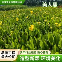 ���˽��S�ۼt��������؈@�փ����G������ͥԺ�G��ˮ��ֲ�����l