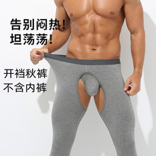 男士开裆裤保暖裤薄款打底裤莫代尔秋裤冬季紧身内穿免脱青年线裤