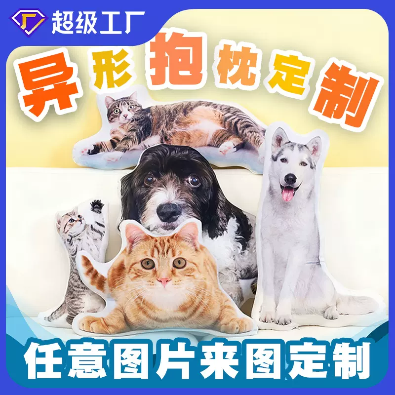 宠物卡通表情包异形抱枕创意仿真毛绒动漫人型公仔靠枕靠垫批发