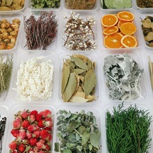 Ȼֲɻ~ ȼǧӽ𻨲ĈFȲֹ