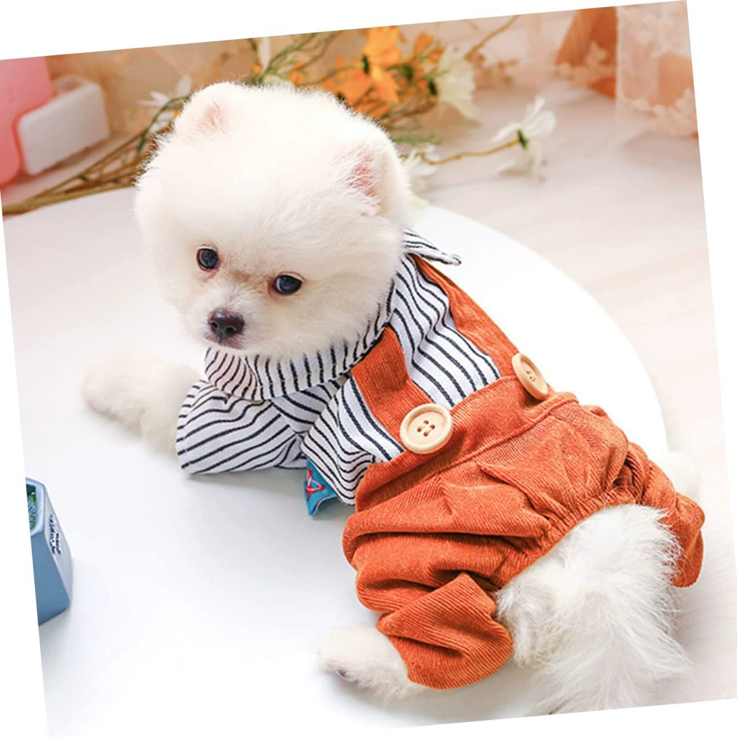 Новый Щенок Одежда кошка одежда подтяжки брюки новые тяги Грудь назад Медведь голова вельветовые брюки черно-белые полосы