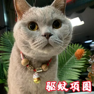 ؈����x�Ȧ���������Ȧ؈��K�L���i������������iȦ������