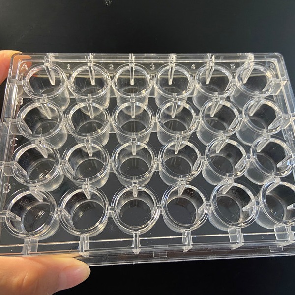 实验教学仪器优质塑料试管架 孔径16mm 24孔离心管架 采血管架