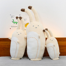 ���Q�¿�����|���L�l����ë�q��߄����ֿ��|�A�ȱ�����˯��ż