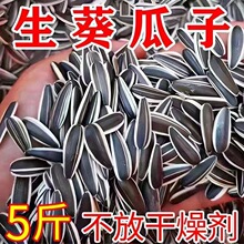生瓜子葵花籽新货生熟可选大颗粒原味瓜子炒货散装坚果葵花子袋装