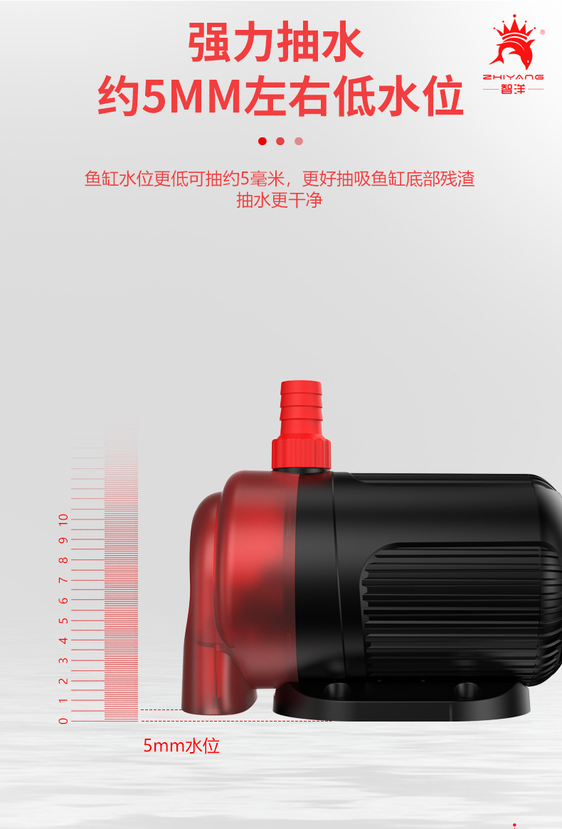 Details 2_10.jpg