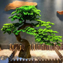 ���ͷ����ɘ�ӭ�����_�h���҃Ș����¾��^�쾰�bGֲ�辰�[��