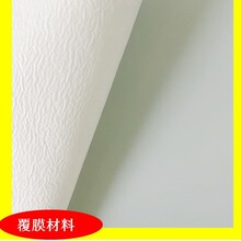 �����T�z��Ĥ���ɫpe͸���ˮ���ϣ��ͺϟo�����t���l���ò���