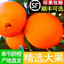 重庆奉节伦晚脐橙当季新鲜水果包邮甜橙10斤大果橙子非秭归赣20南