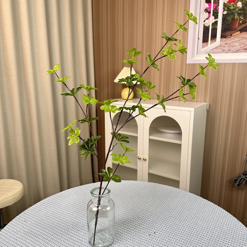 シミュレーション緑植単枝束ブラジル木楡樹葉室内装飾造景竹葵客間装飾シミュレーション植物|undefined