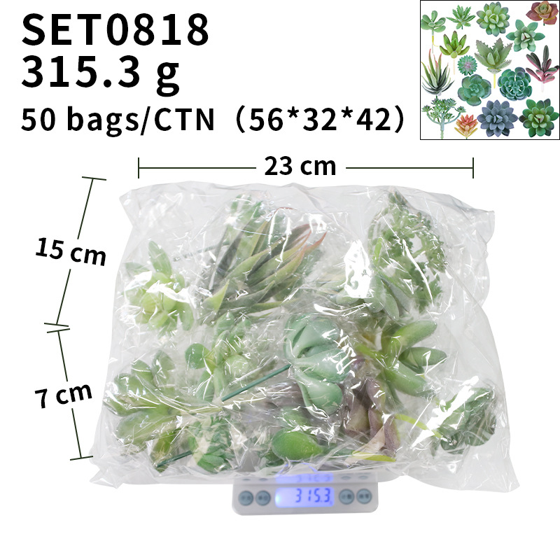 Artificial suculenta 16 traje de Planta artificial micro paisaje retro bonsai planta decoraciones adornos