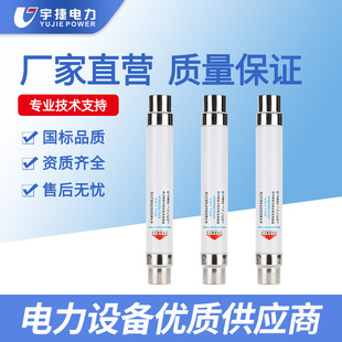 Yujie 10 24 35KV Current Limiting Fuse XRNT1 SDLAJ SDQAJ XRNM Load Switch Fuse Tube