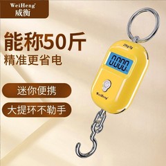 Keychain Portable Scale Pouch Scale Compact Scale Handheld Scale 25kg Courier Package Electronic Scale