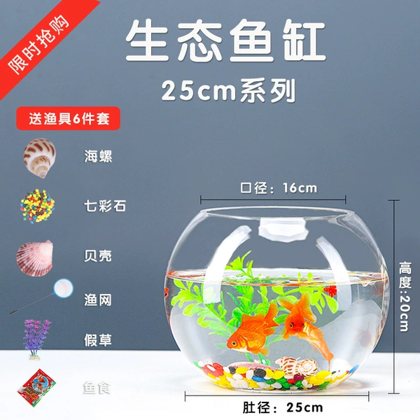 25 balls + 6-piece set of colored stones + bowl lotus seeds☆✦