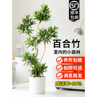 �ٺ���͏d�Gֲ�����҃����ʽ��լ����ֲ���滨���İٺϘ����߅