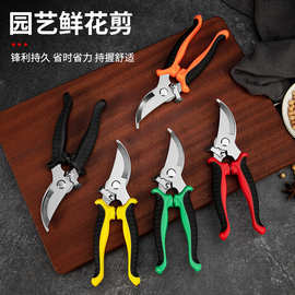 不锈钢树枝剪刀多功能省力园林摘果剪家用便捷花艺盘栽专用剪刀