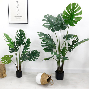 õ¿ WGֲ҃ȾƵ깤쾰ֲԏSֱN