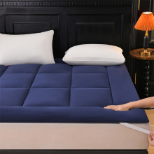 2025�¿��H�w���m���s�p�ݼ�ɫ������|