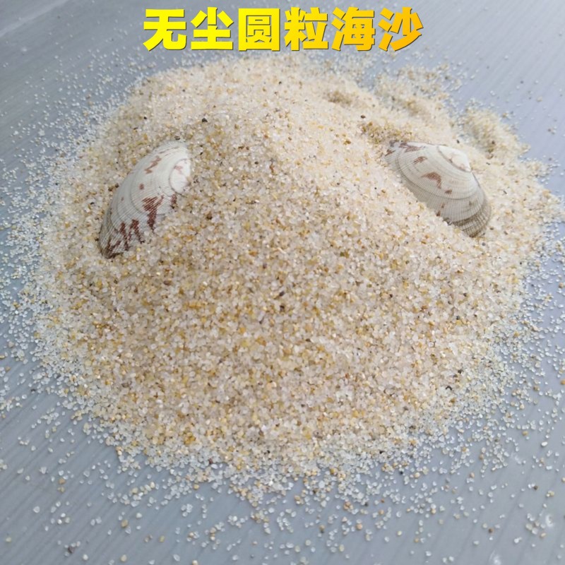 圆粒海沙水洗细沙游乐场海砂0.5-1mm海沙幼儿园沙池白沙厂家直发