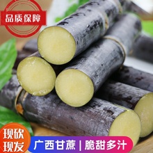 广西黑皮甘蔗脆甜多汁当季新鲜水果砍产地发特产甜秆果蔗榨汁