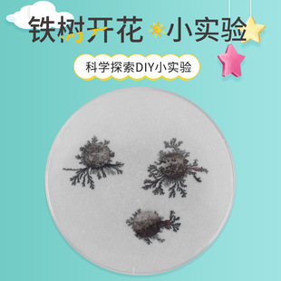 ���W��������F���_�� С�W���ƽ�����ֹ�DIY�Ƽ�С������������