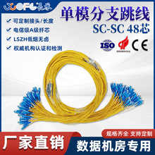 �L��SC-SC��֧���w������ģ48о�������b��֧���|������ż�β�w