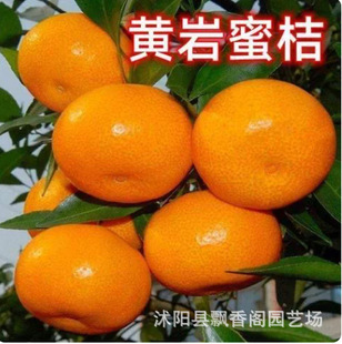 �޽ӟo��ӿȪ������ �R��ӿȪ�۽ۘ��� ������٘��� �m���۽���