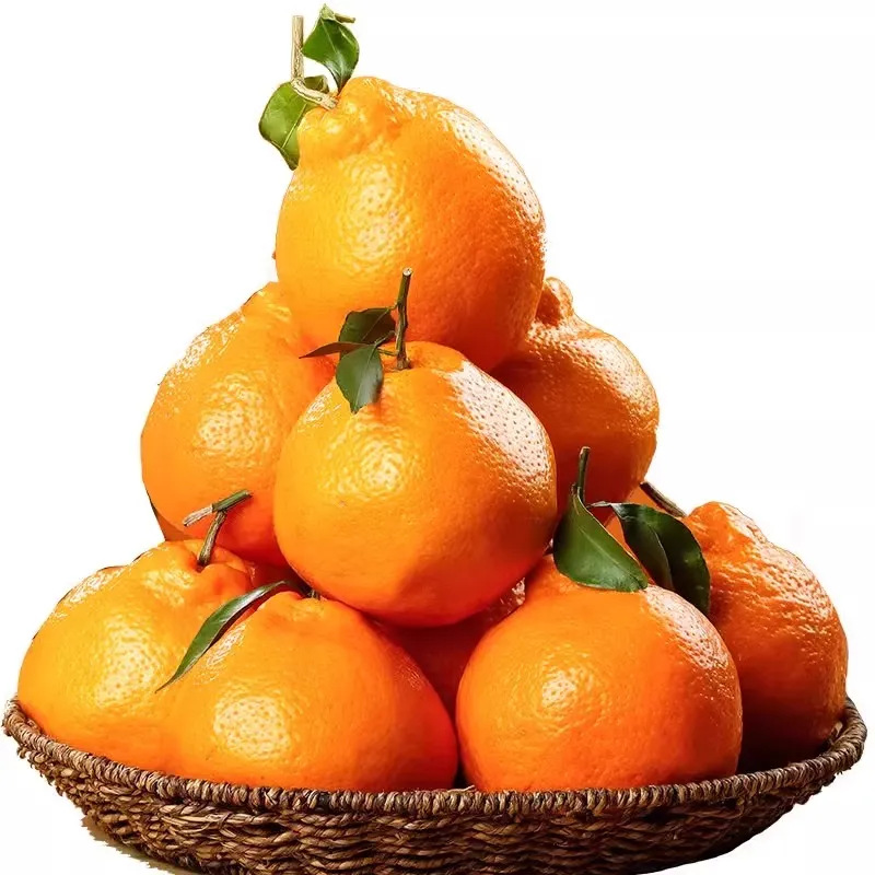 四川耙耙柑春见早期粑粑柑包邮当季新鲜水果桔子柑橘一件代发