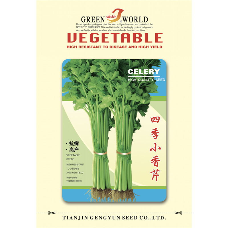 四季小香芹种子大全芹菜苗种籽秧苗芹菜种子季青菜籽蔬菜种孑农家