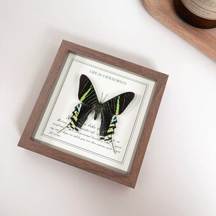 ������˱����߼������[̨���x�˱�diy�ֹ��YƷ���x�˱��b�