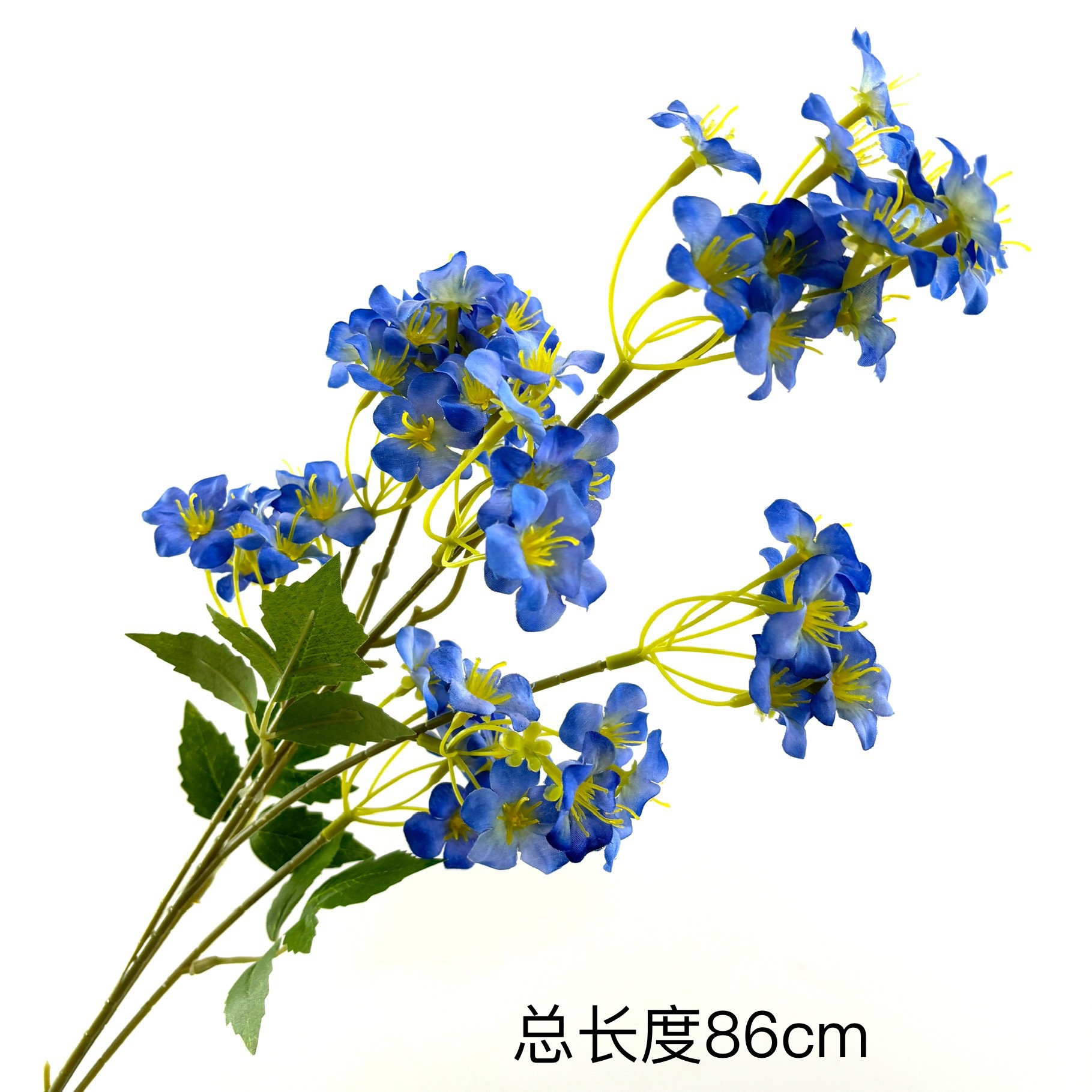 돌리 유통