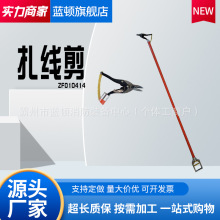 ������ZF010414�L���^�������Q2M�L�������U�h����֬�߉������Q