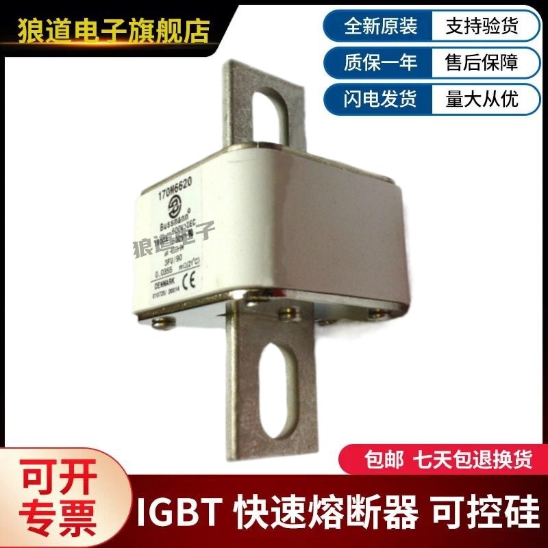 供应原装正品现货170M6616 170M6617 170M6618巴斯曼熔断器