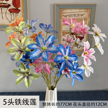 �F��ɏ���滨��c��Y���b��쾰�ٻ������Ĕz�����F��ɏ����ٻ�