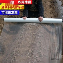 地漠地膜烤烟农用白膜塑料中种植一次性薄膜大棚膜防霜花生的种菜